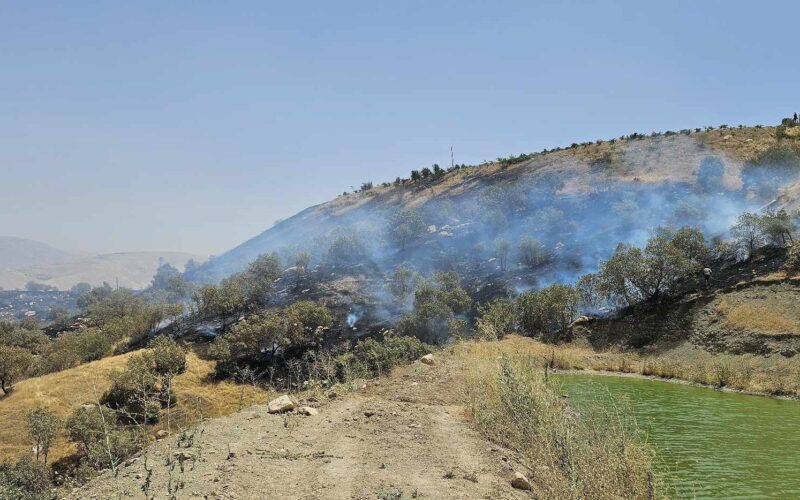پۆلیس دارستان و ژینگەی سلێمانی: ئاگر  نزیکەی 80 دۆنم پوش و پاوان سزان