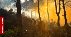 Syria battles sixth day of raging Latakia wildfires