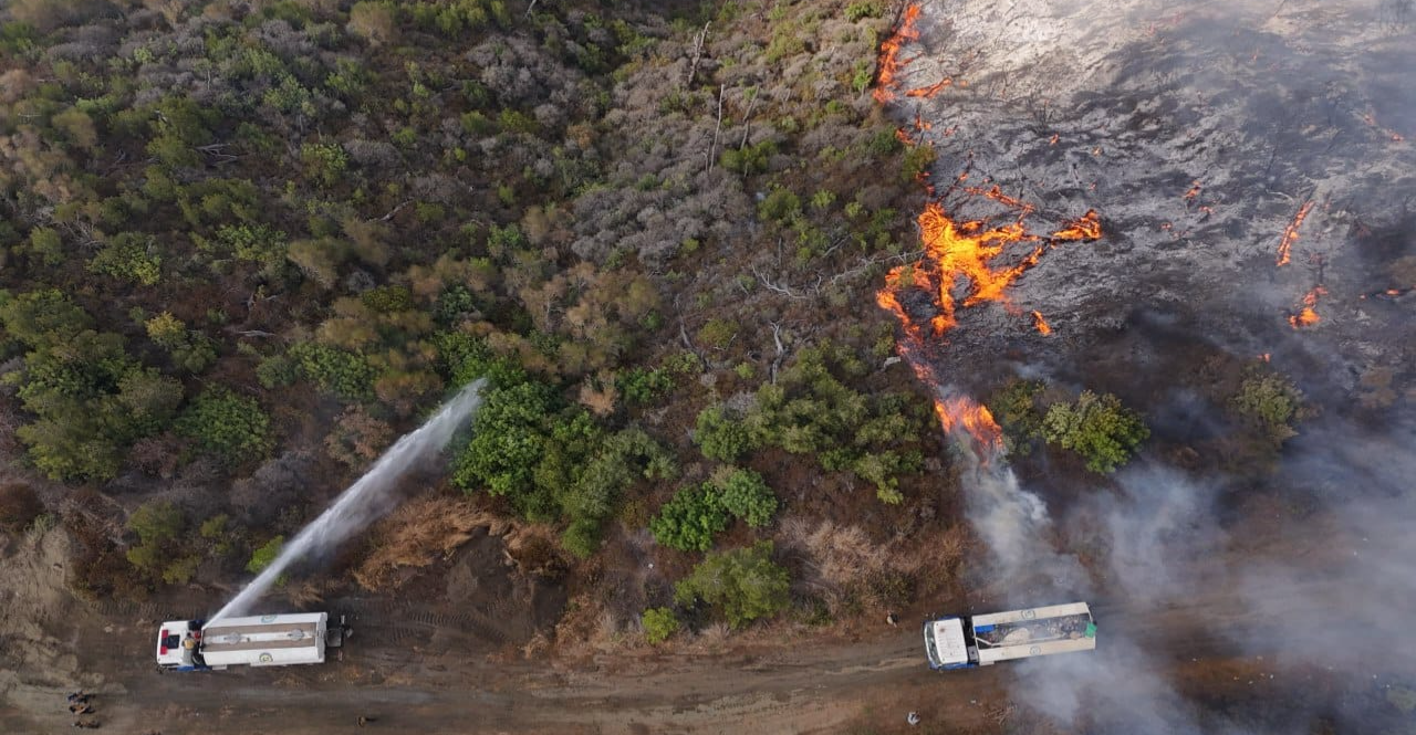 Autonomous Administration offers help as wildfires ravage Syria’s coastal forests