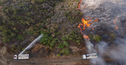 Autonomous Administration offers help as wildfires ravage Syria’s coastal forests
