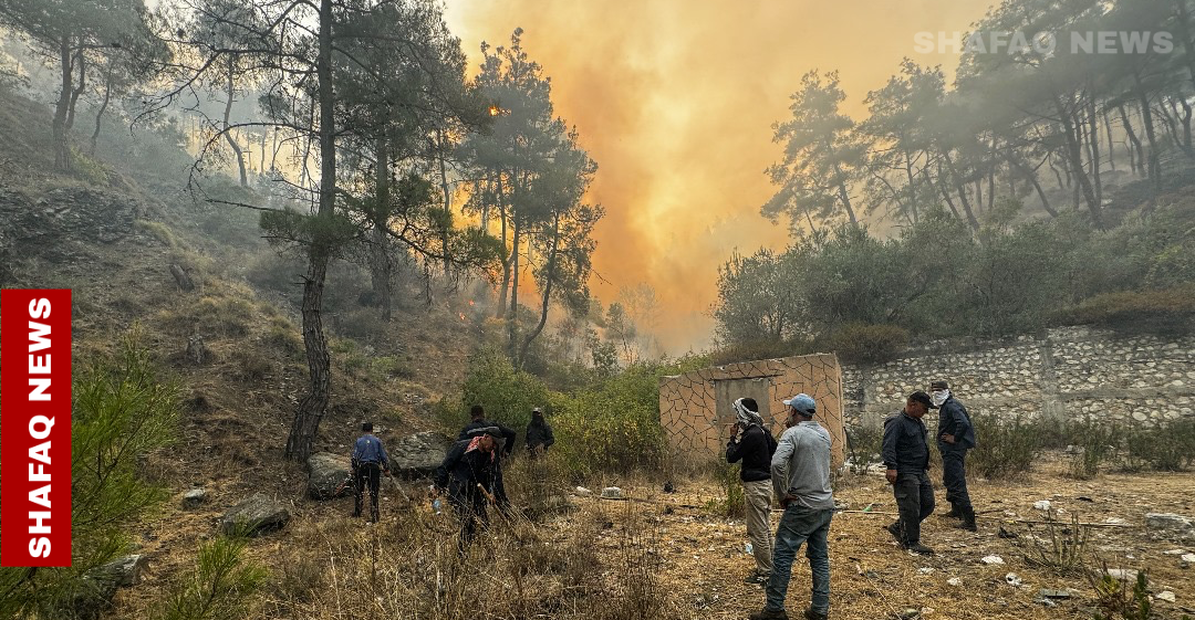 Syria’s Latakia: Three major blazes controlled