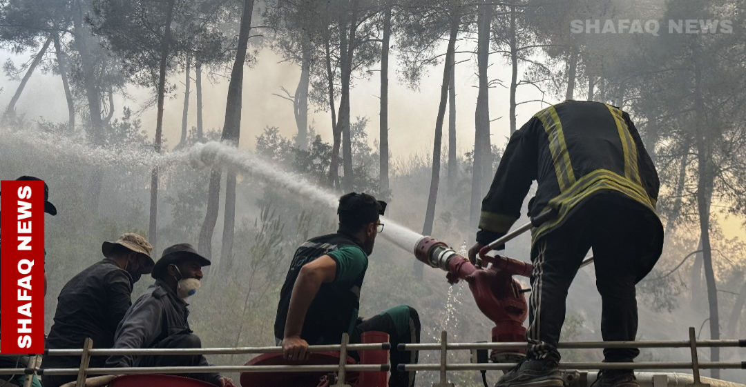 الزراعة السورية لـ شفق نيوز: 15 ألف هكتار تضررت من حرائق اللاذقية
