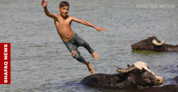 Scorching summer drives Iraqis to rivers