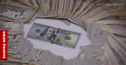 Iraq's foreign currency sales drop sharply in June