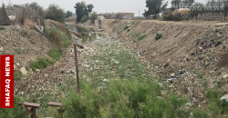 Basra water crisis a serious violation of right to life