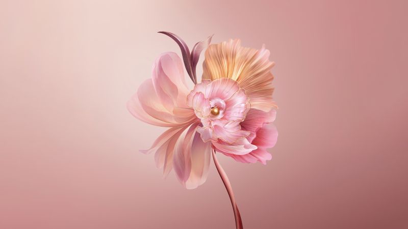 وەو زڵفە زەنجیرم بکەن