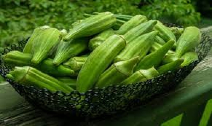 توێژینەوە: بامیە بوودە مدوو مقیەتیکردن مێشک