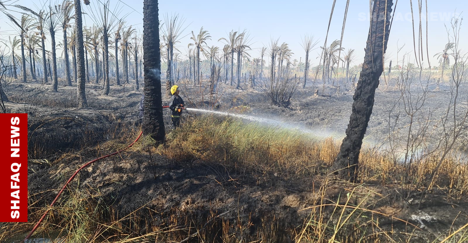 الدفاع المدني يكافح حريقاً آلتهم بستانا زراعياً في البصرة (صور)