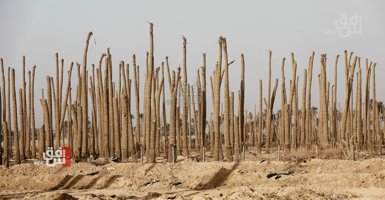 مستشار السوداني يقرع ناقوس الخطر بشأن العجز المائي والتصحر في العراق