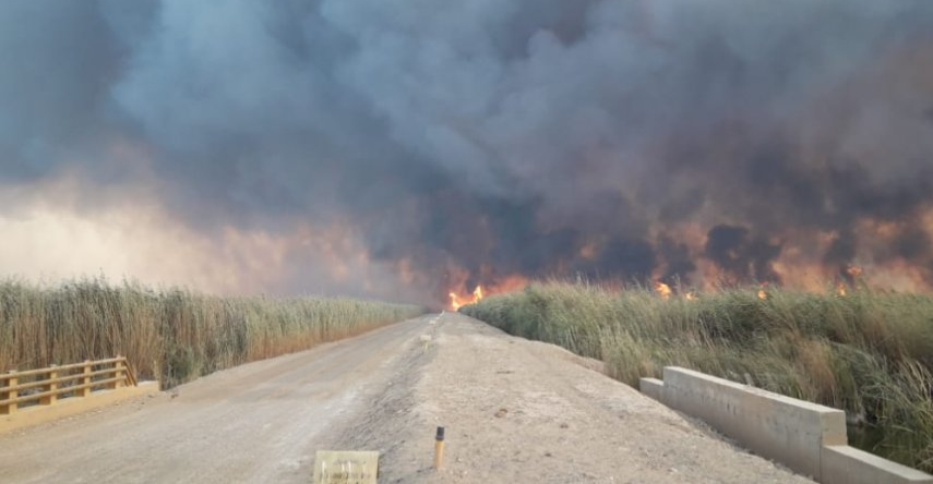 UNESCO Iraqi Marshes ablaze for third day