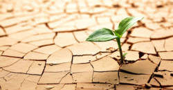 إيلام الفيلية.. 425 ألف هكتار من الموارد الطبيعية تتحول إلى صحاري