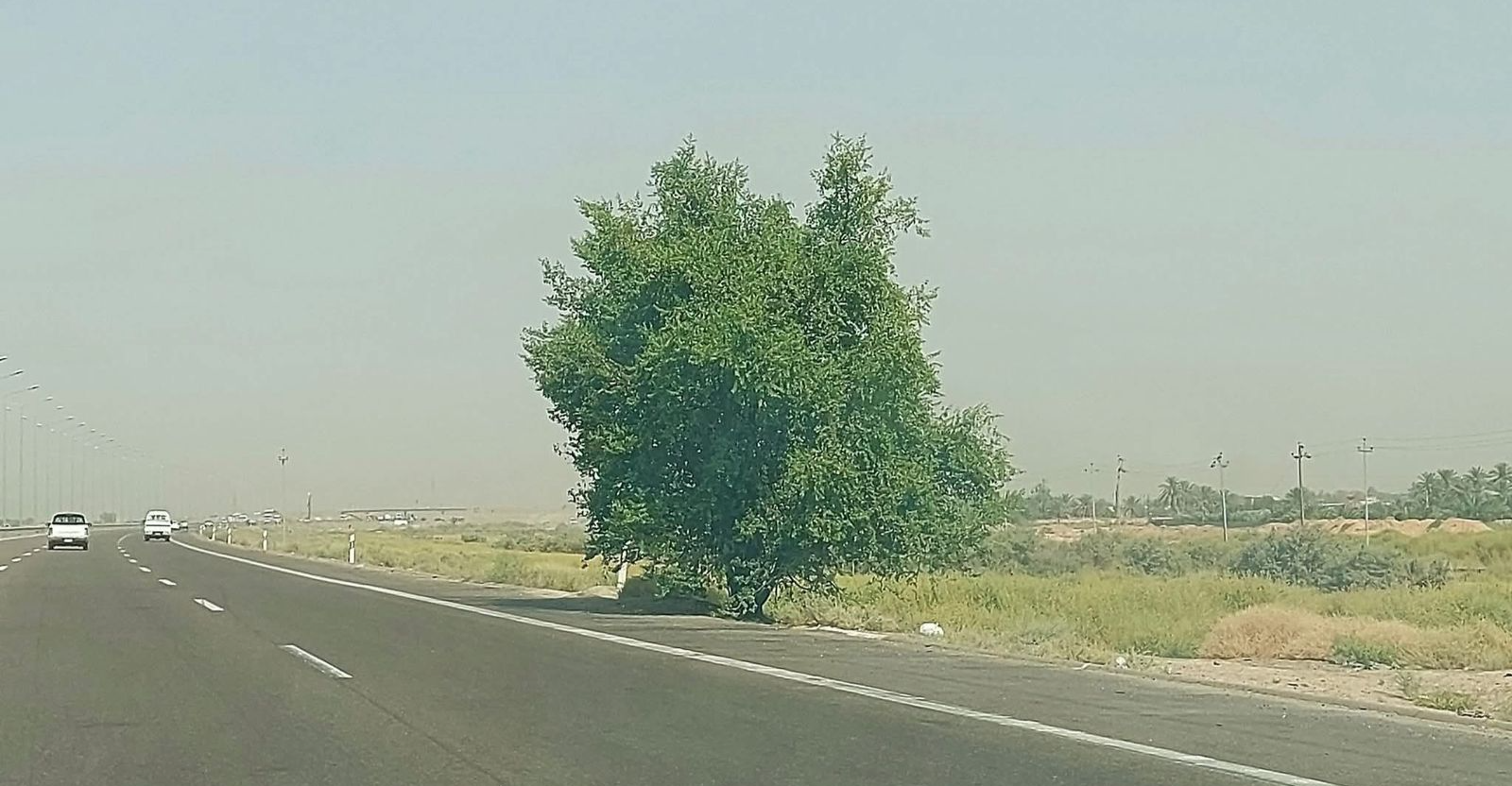 Al-Anbar campaign turns army posts green