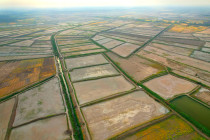 Iraq's Babil: 95% of unauthorized fish farms drained