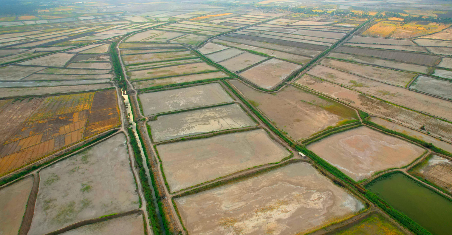 في بابل.. تجفيف 95% من بحيرات الأسماك المتجاوزة