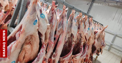 "مطبخ سري لتحضير لحوم ملوثة".. إحباط كارثة غذائية في العراق