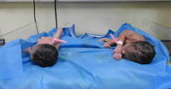 Gaza’s newborns in peril: The fight for life in collapsing hospitals