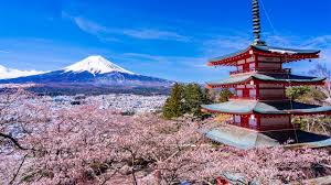 لە وڵاتیگ شمارەی مردن لە لەداڵگبوین زیاترە