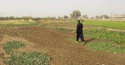 Iraqi court postpones rulings in Kirkuk land dispute