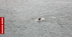 مياه حمرين تنهي حياة شابين في ديالى