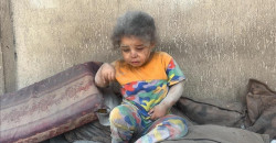 Gaza hunger toll climbs to 239