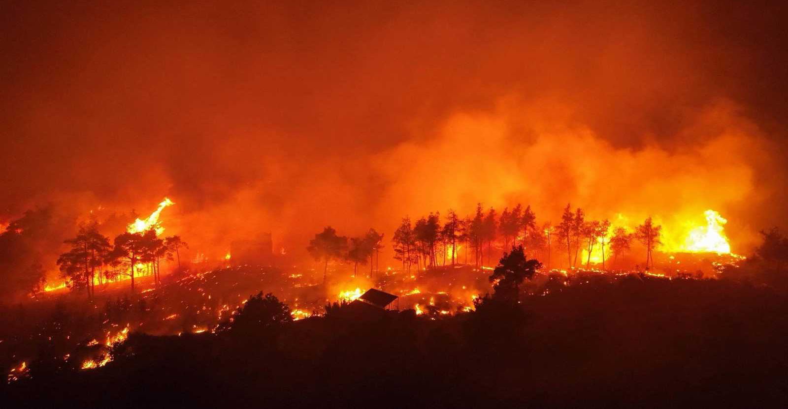 Syria’s wildfires spread: Injuries mount as northeast joins firefighting effort