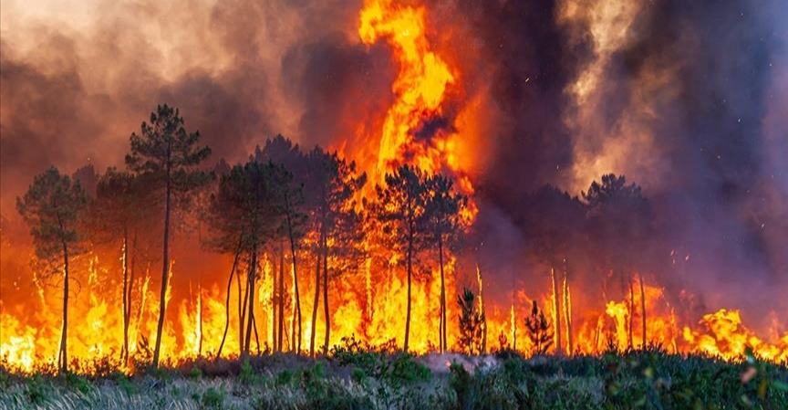 حريق كبير في إيلام الفيلية ودعوات للسكان بالتطوع لإخماده