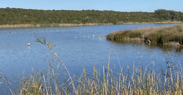 ئاگاداری لە کارەساتیگ نزیک هەڕەشەی زەوی دەێد