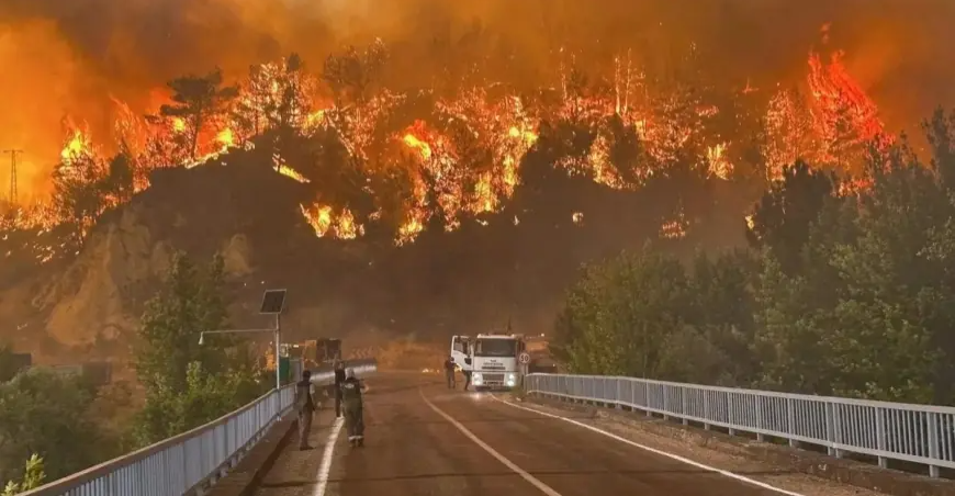 السلطات التركية تجلي سكان 5 قرى بسبب حرائق الغابات