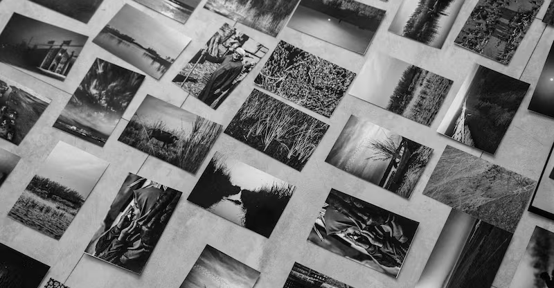 "متاهات القصب" تعلق على جدران باريس.. أعمال فنية تخلد أهوار العراق