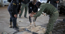 Captagon Empire: How Syria fuels a $2B regional drug trade