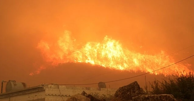 الرئاسة العراقية تنعى متطوعَين قضيا في حريق غابات حلبجة