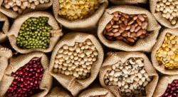 Turkiye’s grain exports to Iraq fall 9.5%