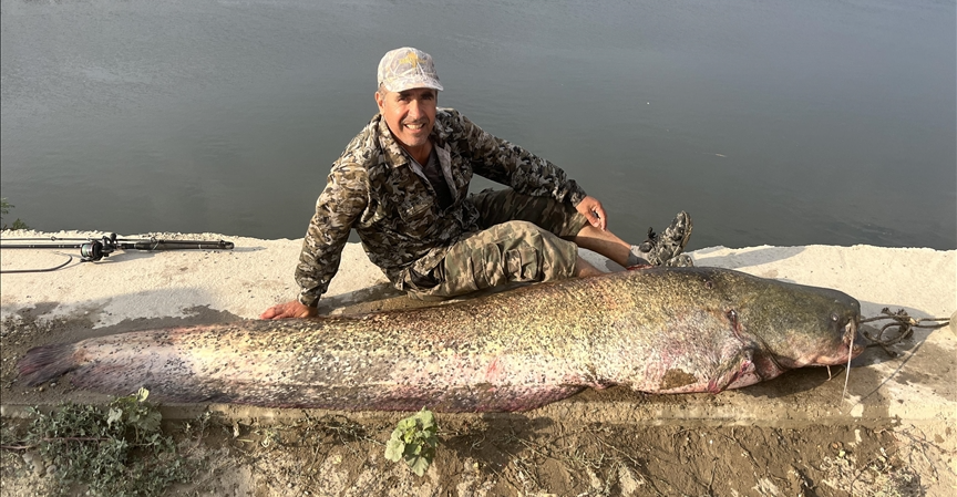 تركيا.. اصطياد سمكة "جرّي" تزن 100 كلغ بالصنارة