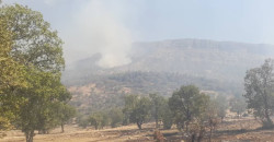 Kurdish Kermanshah rangers struggle to protect Zagros forests