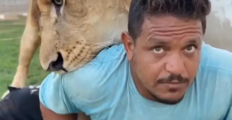 ليبيا.. حبس صاحب مزرعة أطلق أسده على عامل مصري