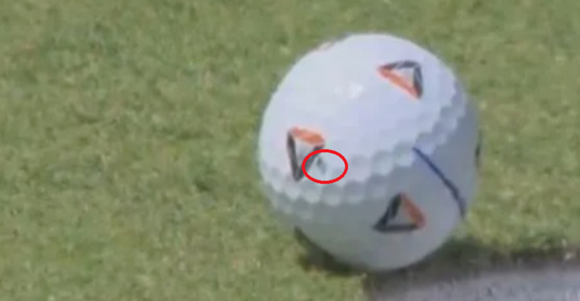 "ذبابة" تساعد لاعب غولف للفوز بـ900 ألف دولار