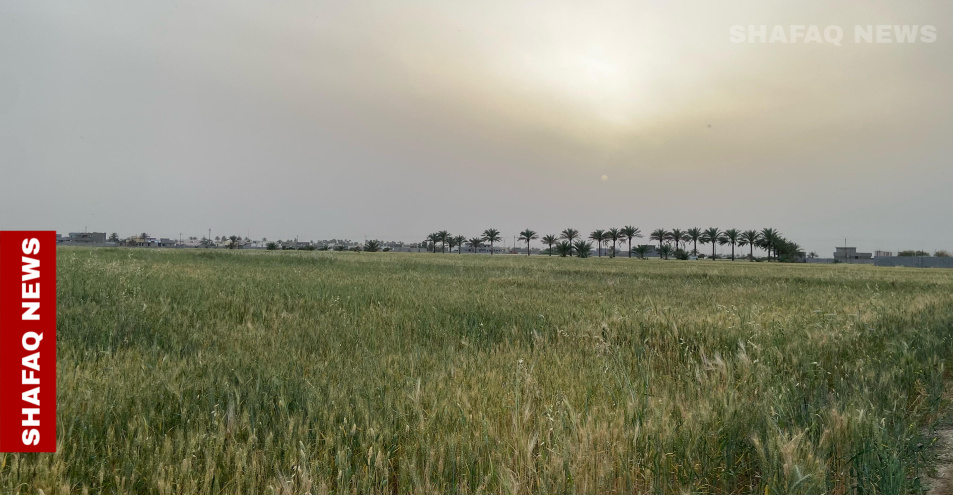 الجفاف يضرب الزراعة العراقية.. والحكومة تتجه لاستخدام تقنية جديدة لمواجهة الأزمة