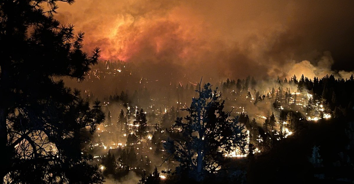 الحرائق تلتهم غابات ولاية أوريغون الأمريكية وإخلاء 4 آلاف منزل