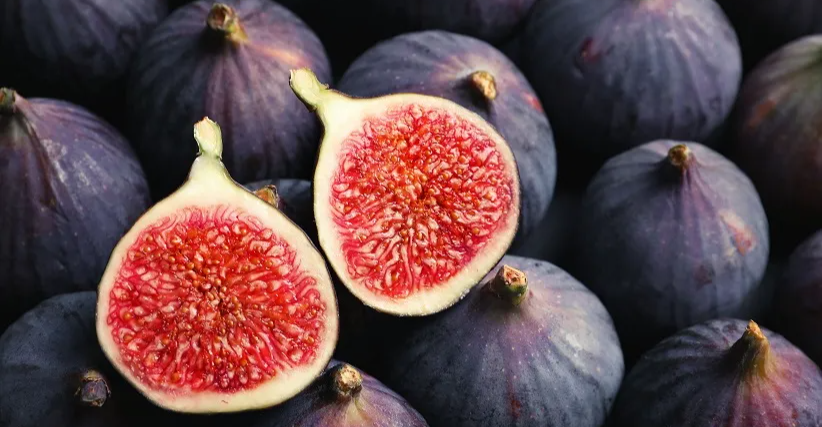 على خطى التمور العراقية.. إيلام تسعى لوضع تينها الفريد على رفوف العالم