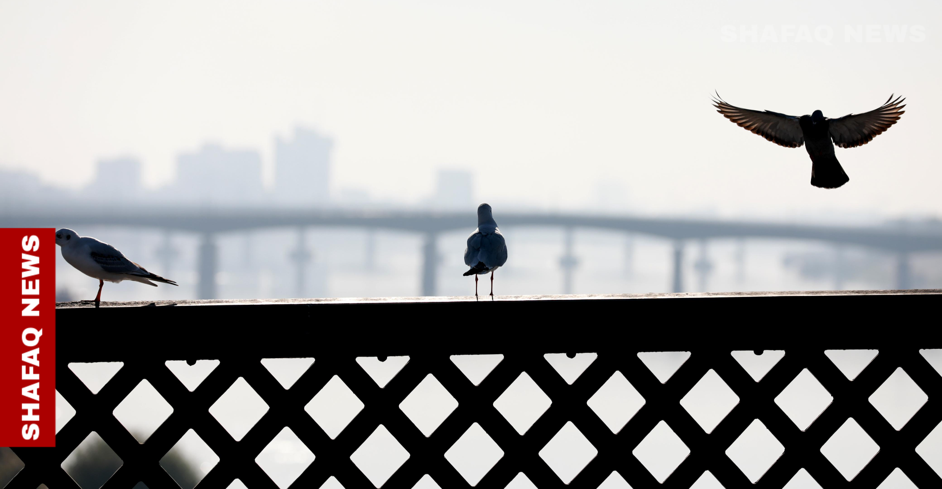 بعد 4 أيام.. "ملامح طقسية" طال انتظارها تقترب من العراق