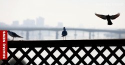 بعد 4 أيام.. "ملامح طقسية" طال انتظارها تقترب من العراق