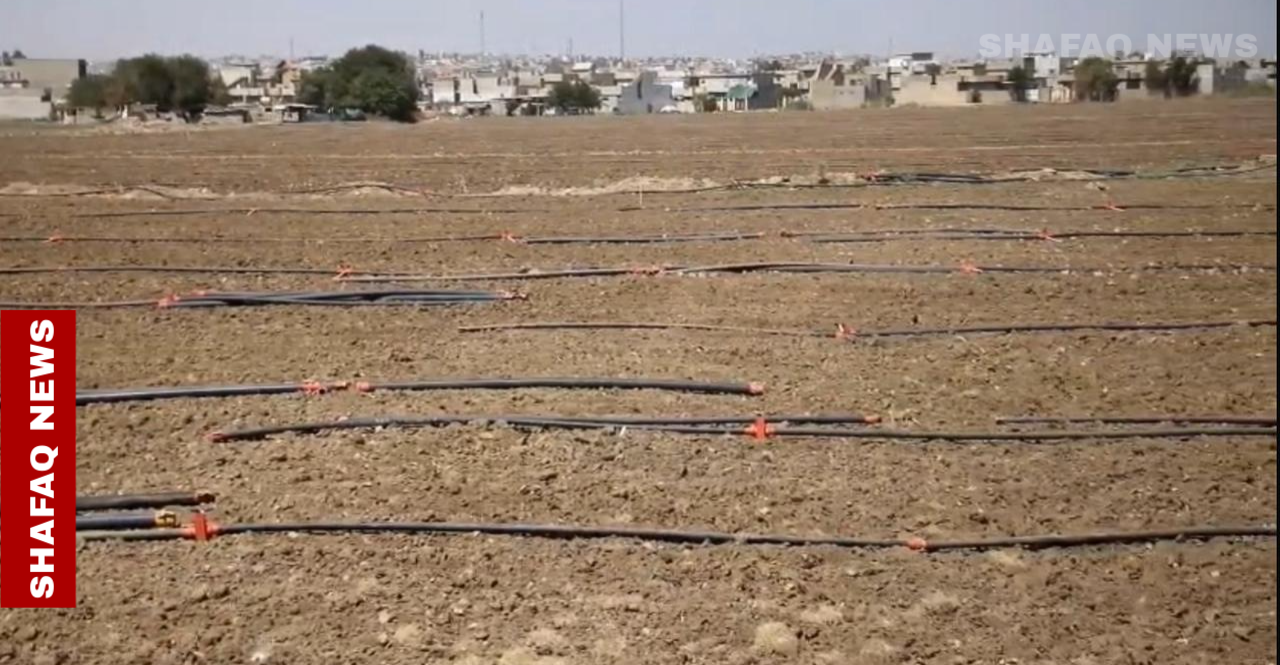 مزارعو نينوى يشكون منعهم من ماء دجلة ويواجهون "التصحر والمستورد"