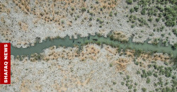 Drought damaged ecotourism in Iraq's marshlands