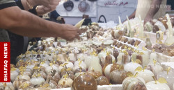 Between love and superstition: The enduring mystique of gemstones in Iraq