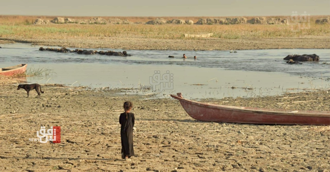 Iraq submits first climate transparency report to UN