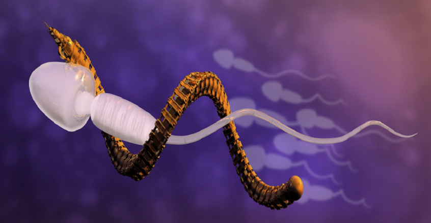 باحثون يحولون الحيوانات المنوية إلى "روبوتات دقيقة" لعلاج العقم