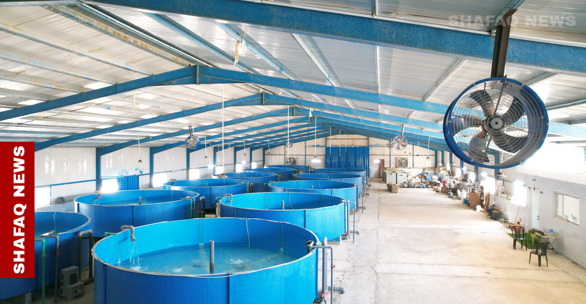 لمواجهة الشح المائي.. الموارد العراقية تلزم مربي الأسماك بالتحول إلى الأحواض المغلقة