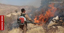 Large blaze scorches green areas in Kurdistan’s Al-Sulaymaniyah
