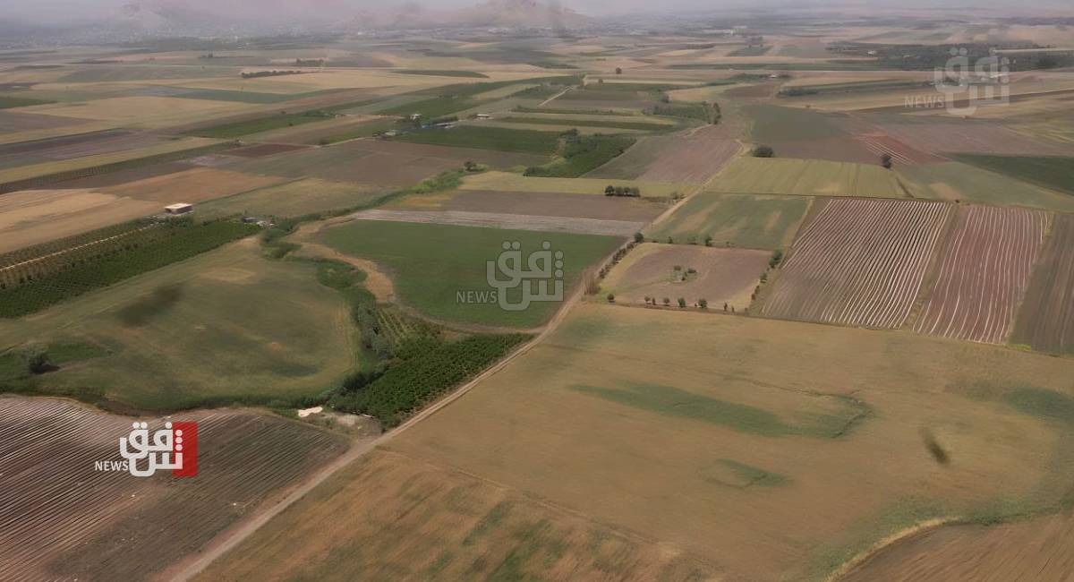 كوردستان نزیکەوبوین بەشەوکردن یەکەمین چین شایستەیل کشاوەرزەیل ئەرا ساڵ 2025 راگەینێد