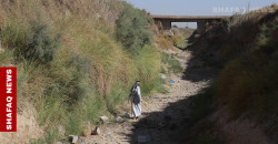 Running on empty: Babil residents flee parched villages